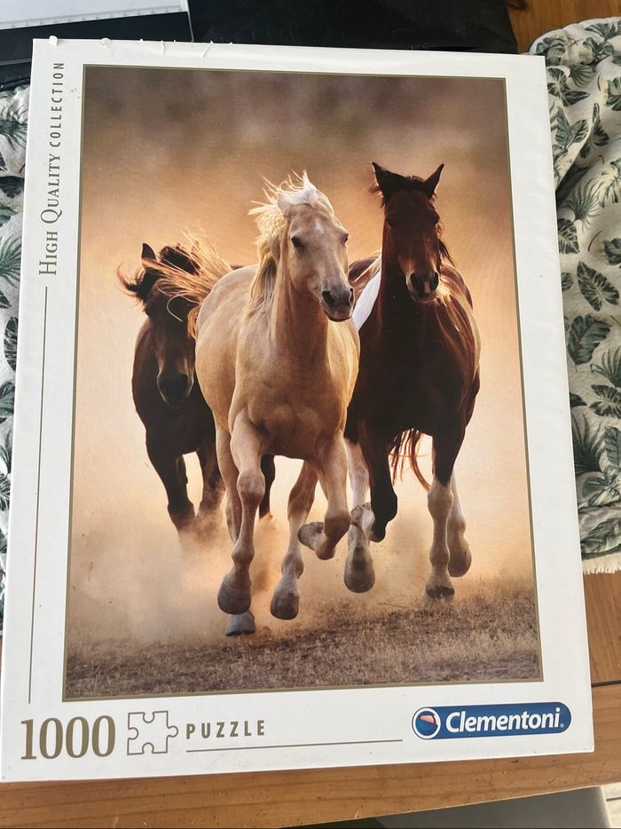 Puzzle 1000 pièces