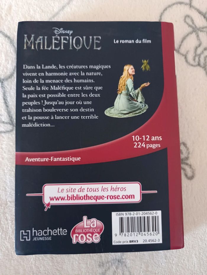 Livre Maléfique - photo numéro 2