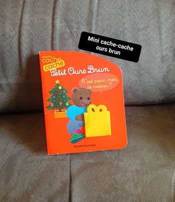 Livre Petit ours brun 
