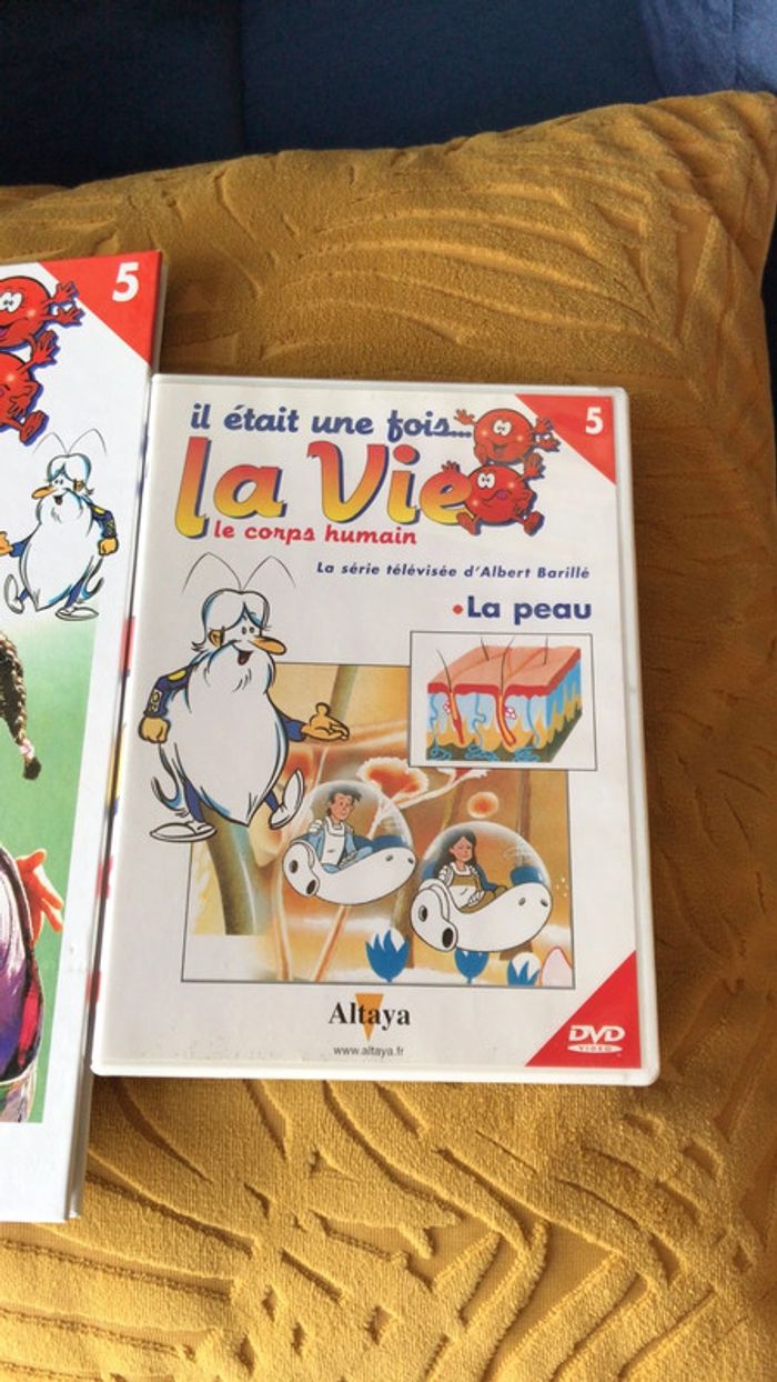 Collection il était une fois la vie le corps humain - photo numéro 3