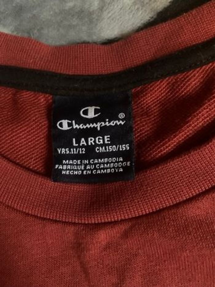 pull champion - photo numéro 2