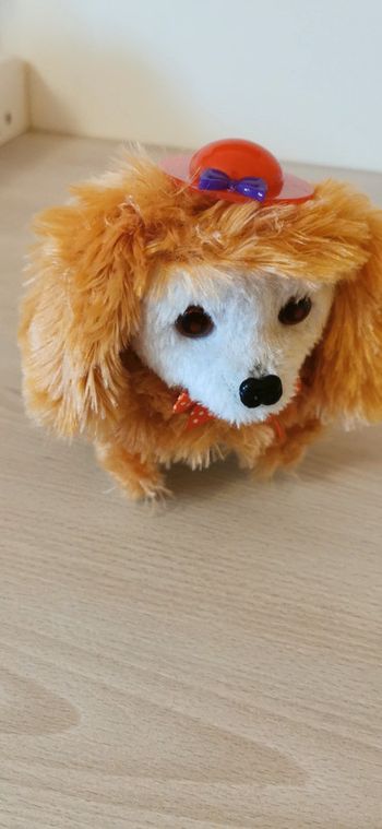 Chien interactif