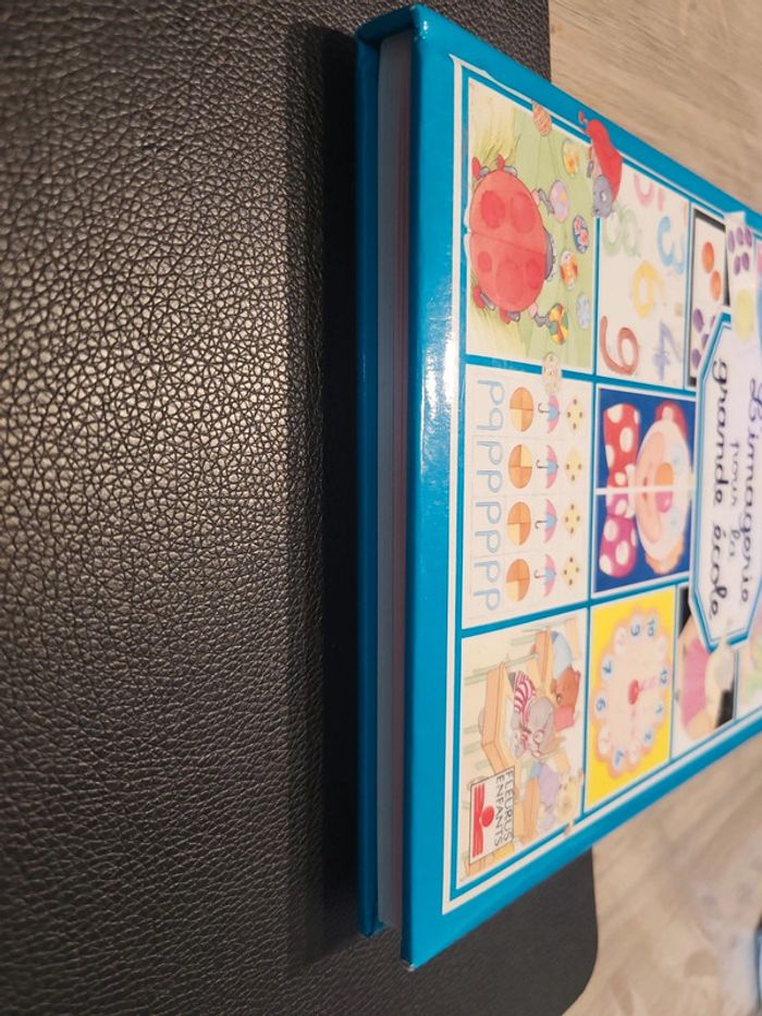 L imagerie pour la grande école - photo numéro 6