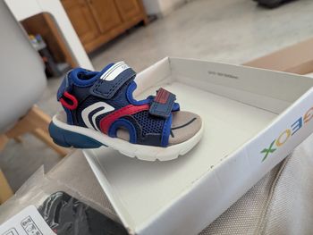 Chaussures Geox enfants
