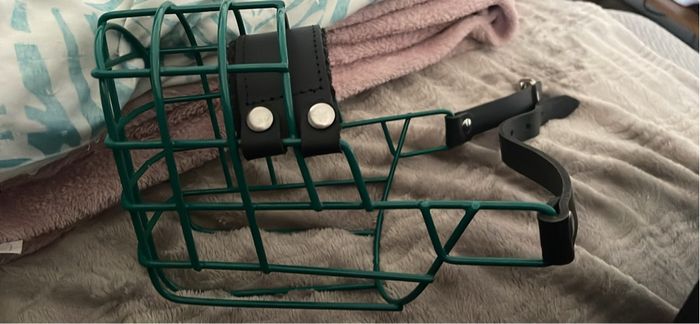 muselière - photo numéro 2