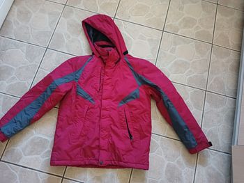 Manteau