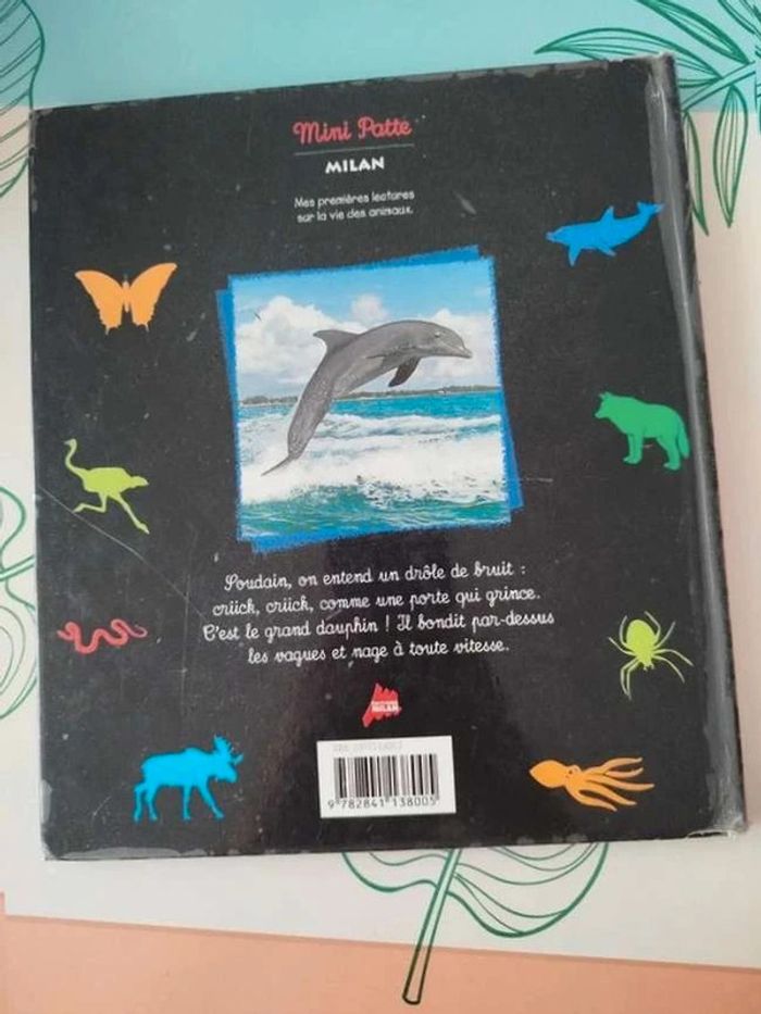 Le dauphin - photo numéro 2