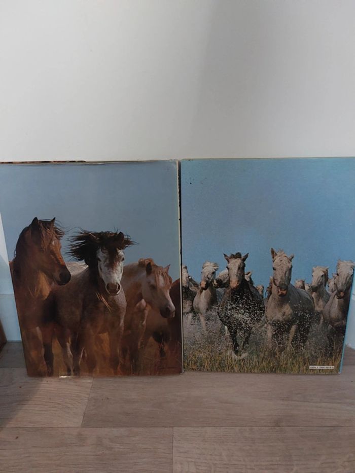 Livres en lot ou à l'unité La passion des chevaux/ la passion des poneys - photo numéro 4