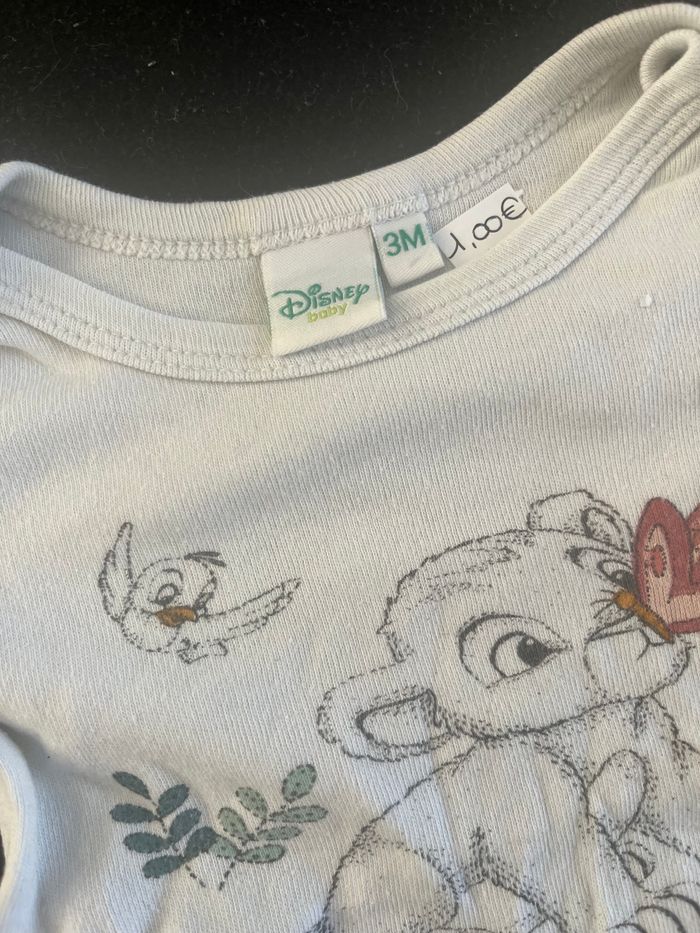 Bodie 3 mois - photo numéro 4