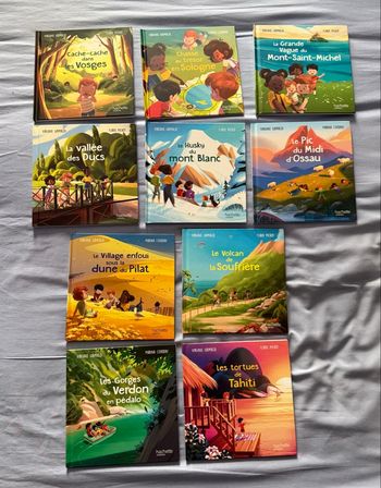 Lot de 10 Livres Mc do : merveilles de France 