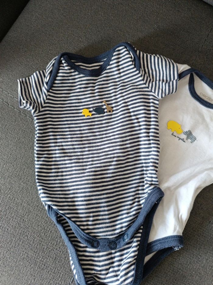 Lot body - photo numéro 2