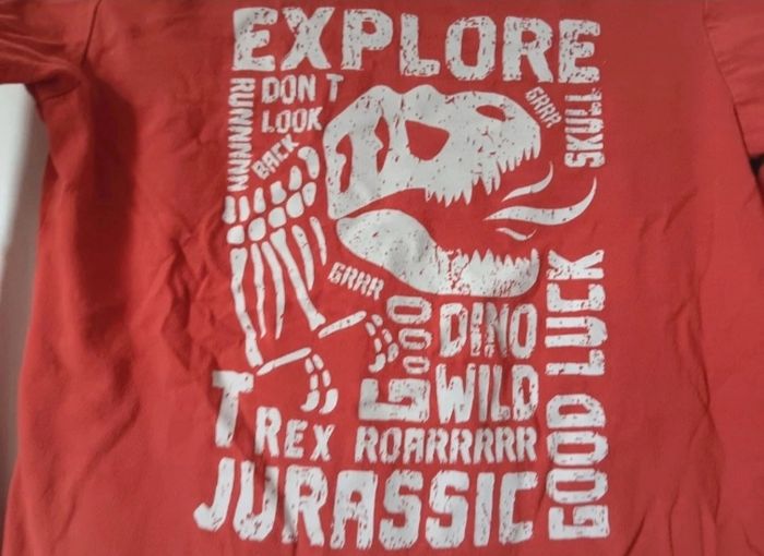 Maillot in extenso dinosaure 5ans - photo numéro 2