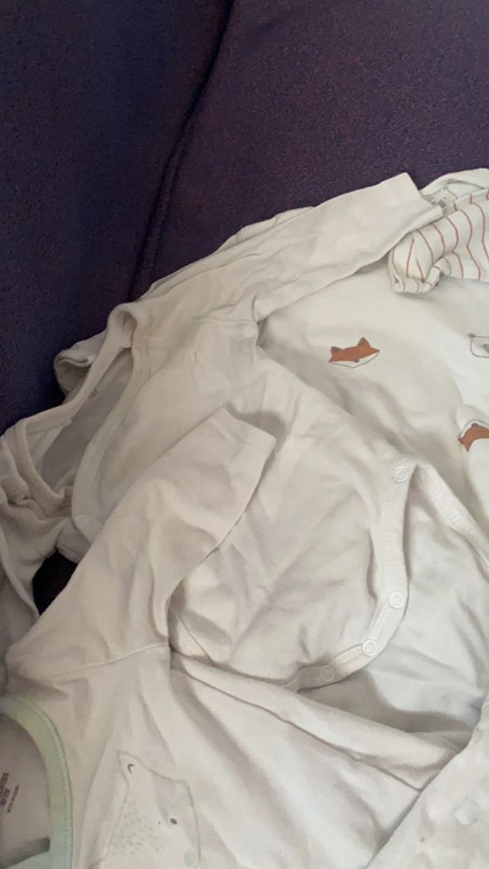 bodies - photo numéro 3