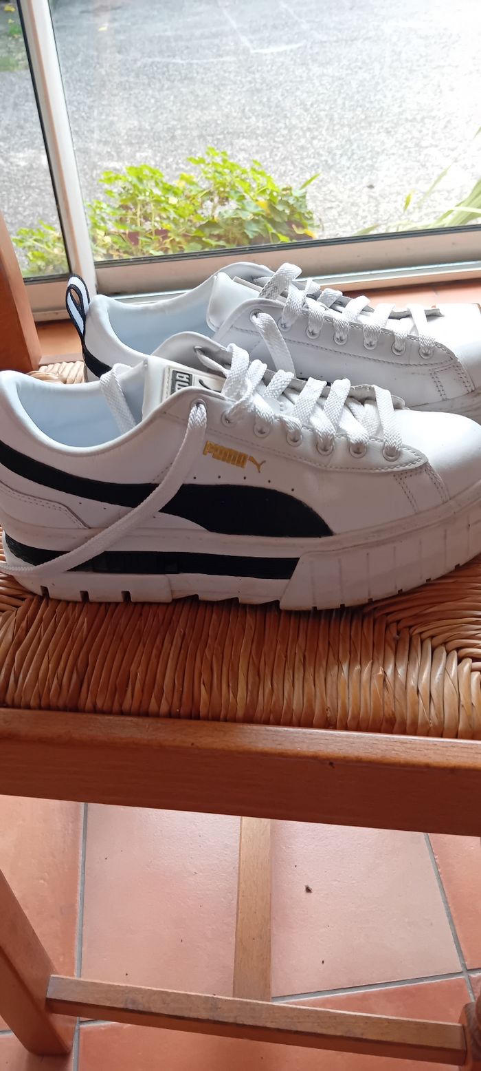 Basket puma