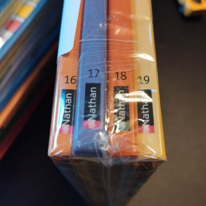 Lot de 4 Livres enfant Nathan T'choupi - photo numéro 3