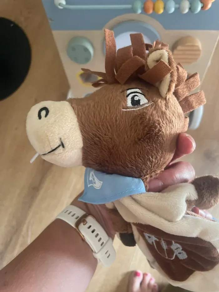 Doudou enfant - Aviron Bayonnais - photo numéro 6