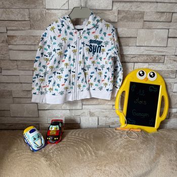 Veste à capuche zippée Garçon - T12mois - Influx 