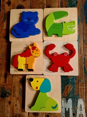 Lot de 5 puzzles en bois