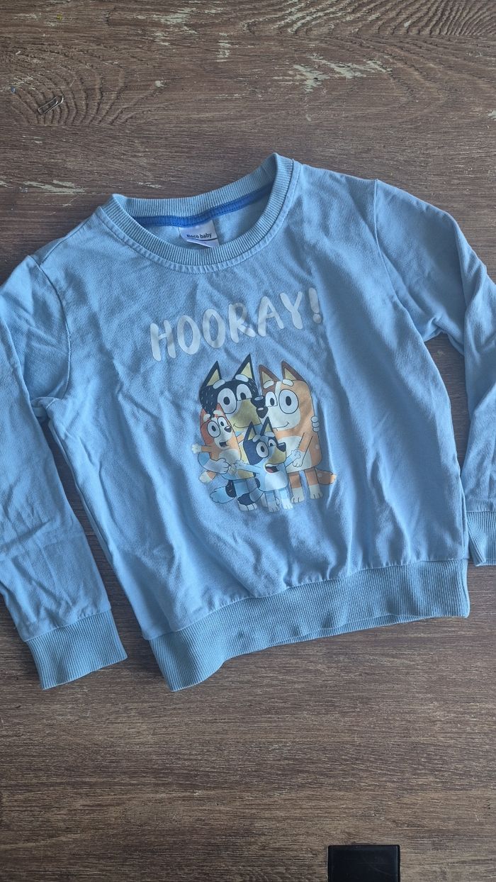 Pull Bluey garçon 5 ans - photo numéro 4