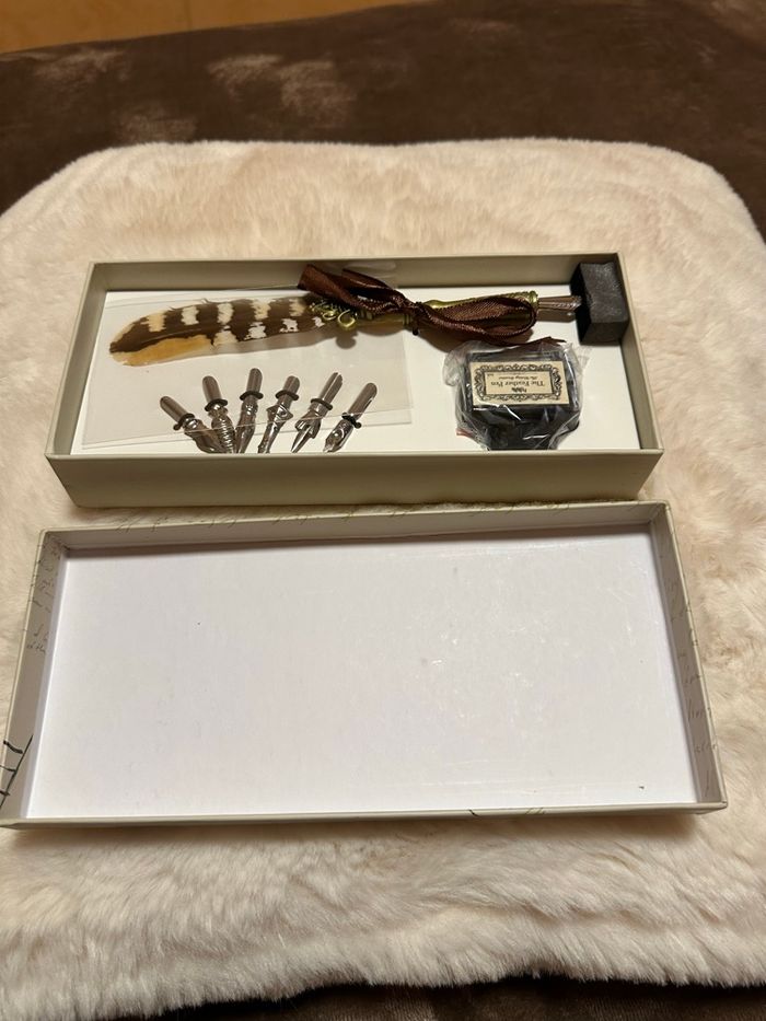 Stylo à plume antique, 6 plumes avec encre - photo numéro 4