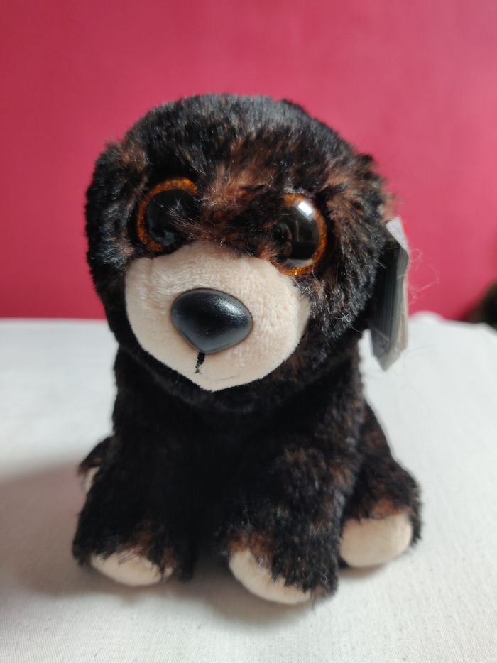 Ours en peluche Ty