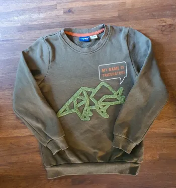 Pull Dino mixte taille 5/6 ans.