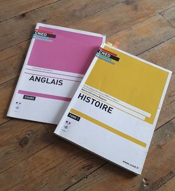 Lot de 2 livres du CNED histoire et anglais