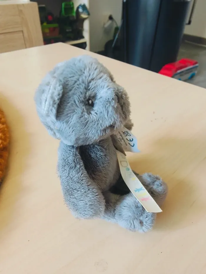 Petit ours gris - photo numéro 2