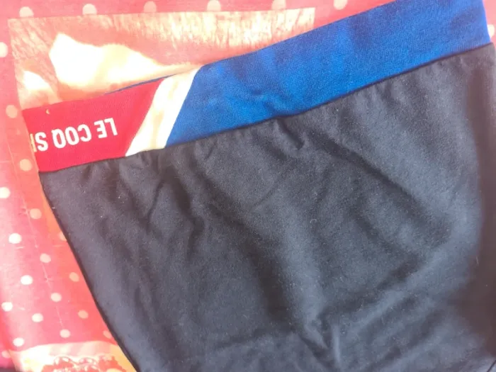 Pull le coq sportif 5/ 6 ans car taille petit - photo numéro 3