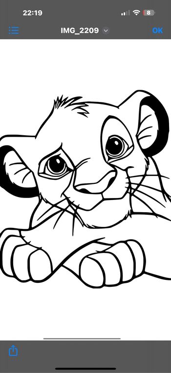 Couverture personnalisée Simba