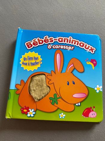 Bébés animaux à caresser