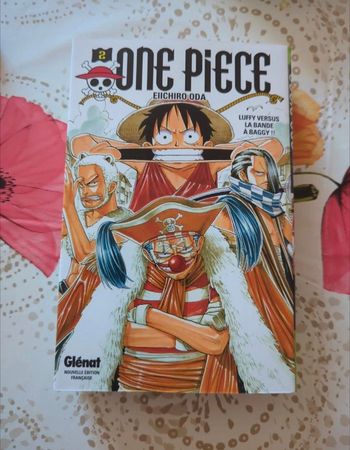 Lot mange one piece