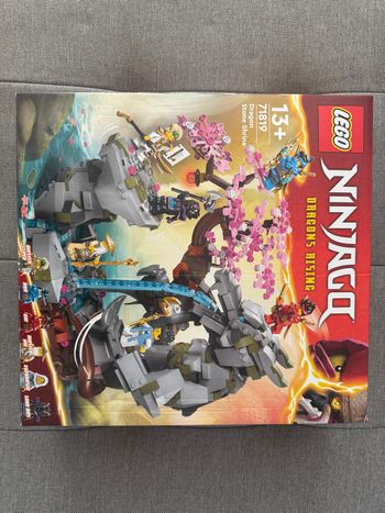 LEGO 71819 Sanctuaire de la Roche du Dragon – Ninjago – Neuf, Scellé