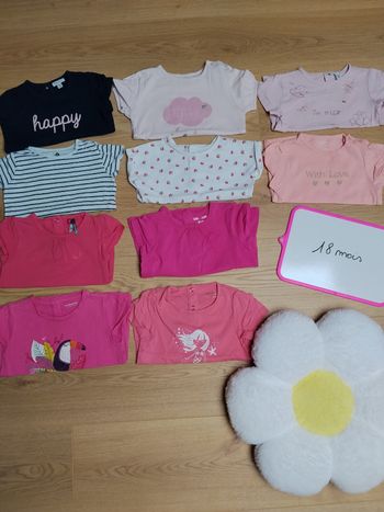 Lot 10 t-shirts manches courtes 18 mois