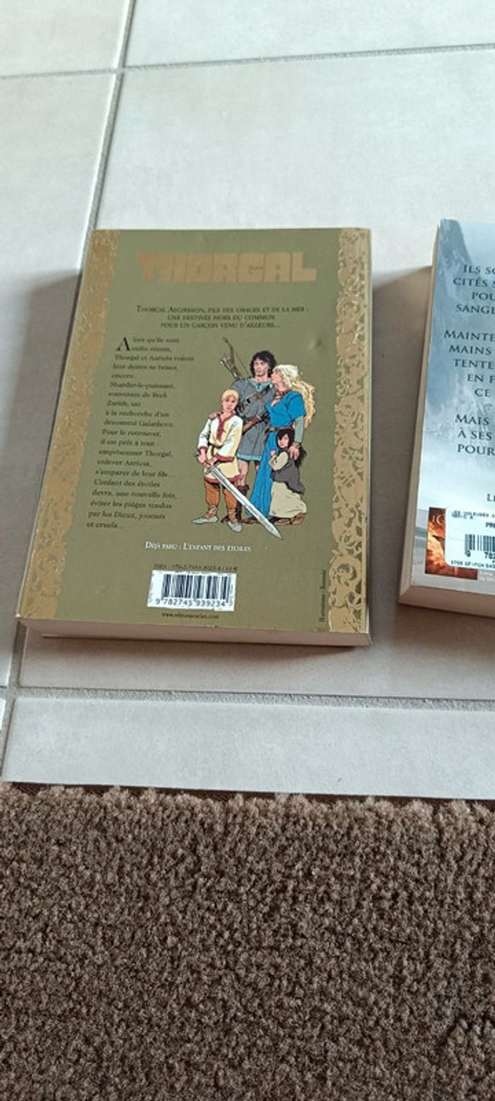 Lot 2 romans - photo numéro 4