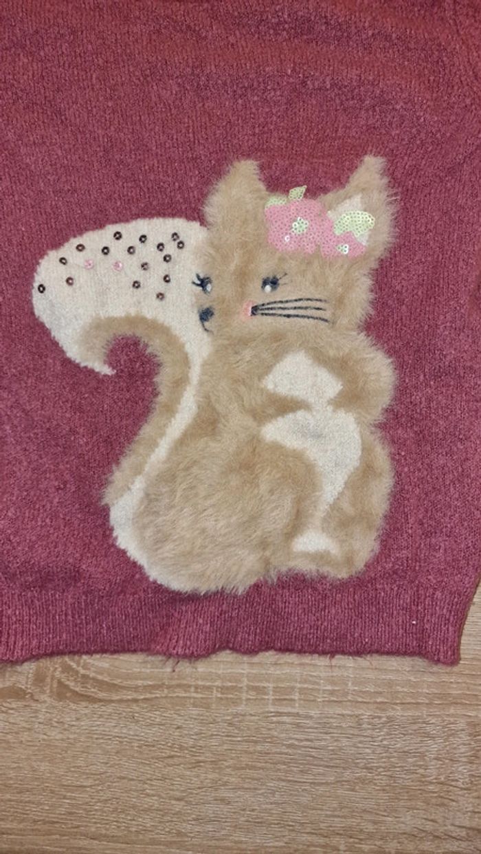 Pull 10 ans - photo numéro 2