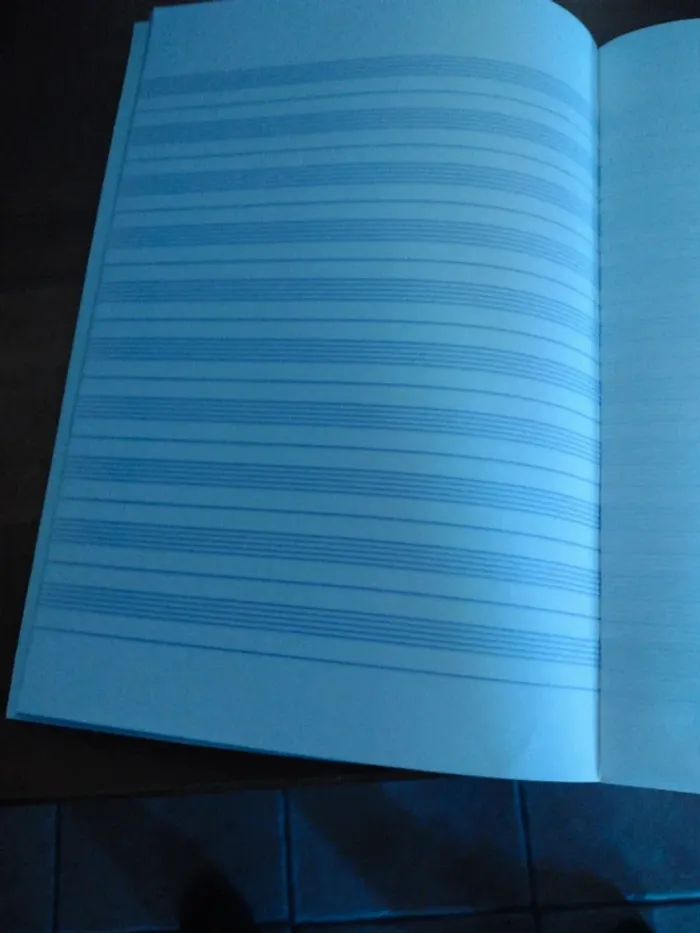Cahier Neuf Musique & Chant - photo numéro 6