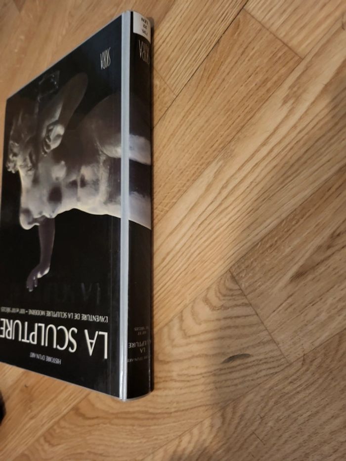 La sculpture l'aventure de la sculpture moderne XIX et XX e siècles - photo numéro 8