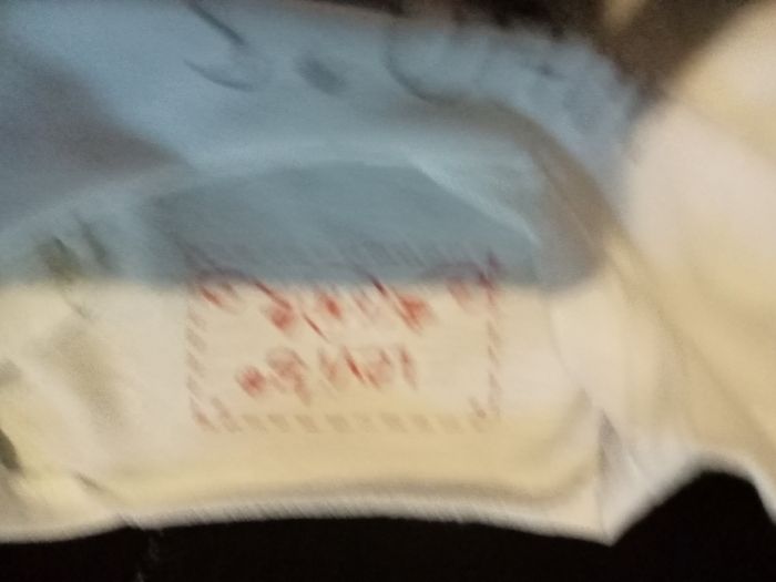 Pull - photo numéro 2