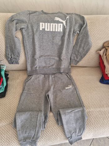 Jogging puma 