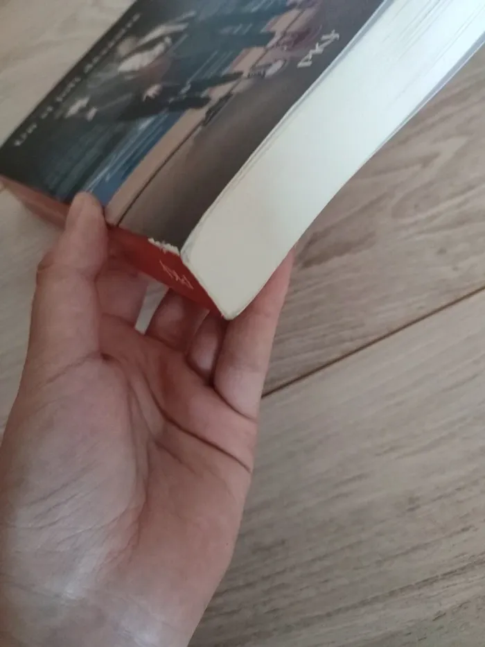 Un si joli désastre Sophie Gonzales PkJ - photo numéro 10