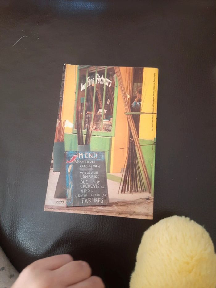 Lot de 2 livre pratique pêche - photo numéro 14