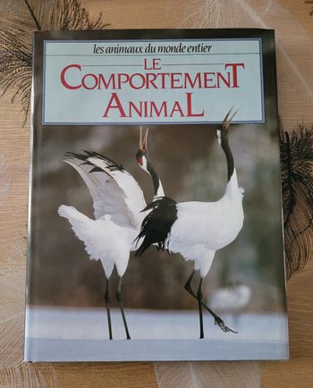 Le comportement animal Neil Curtis