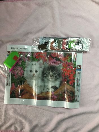 Diamant peinture duo de chatons
