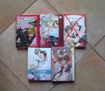 Mangas en anglais le lot de quatre