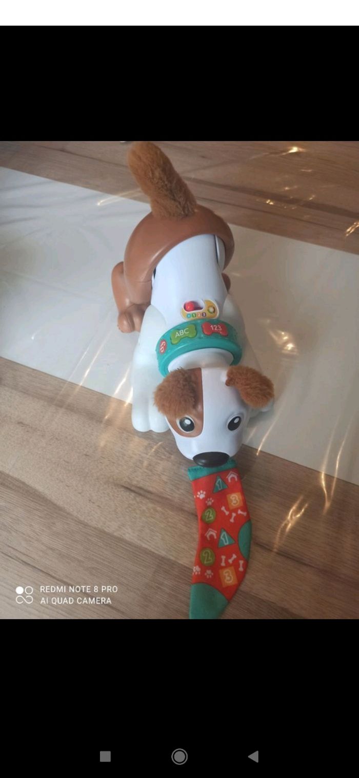 Mon chiot rampe avec moi