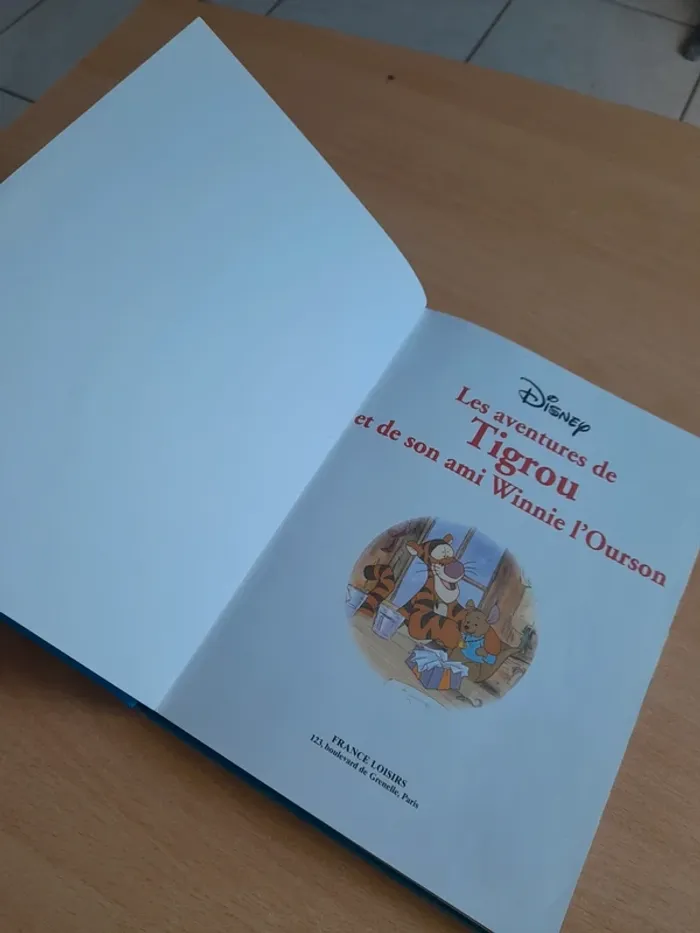 Les aventures de tigrou - photo numéro 8