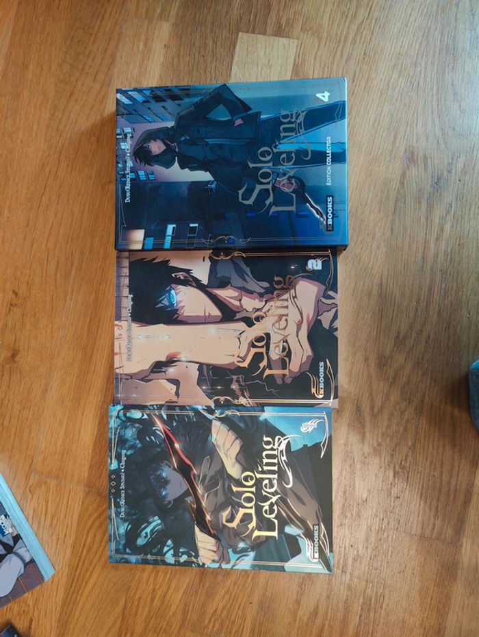 Solo leveling lot
