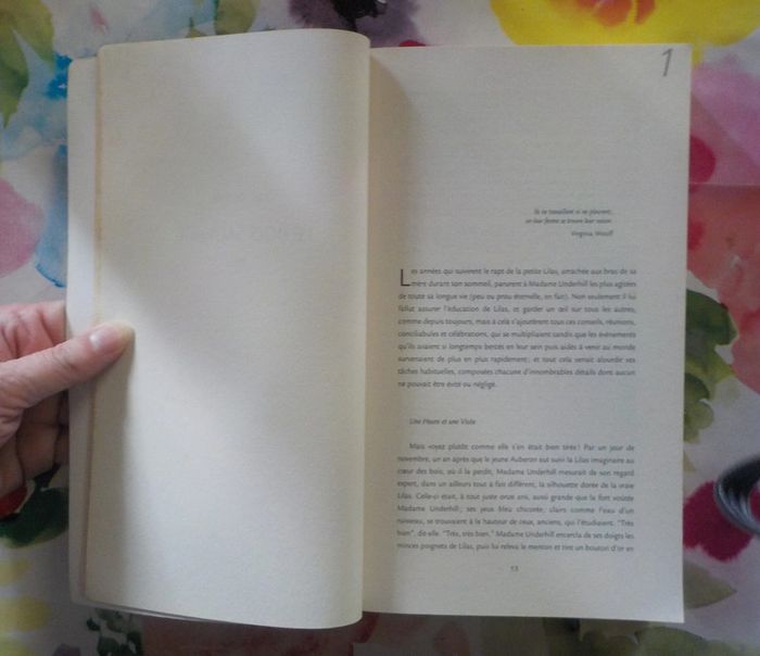 Le Parlement des Fées T2 L'Art de la Mémoire de John Crowley Ed. Terre de Brume - photo numéro 5