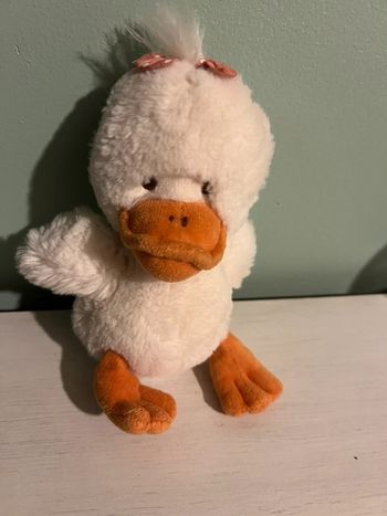 Petit canard